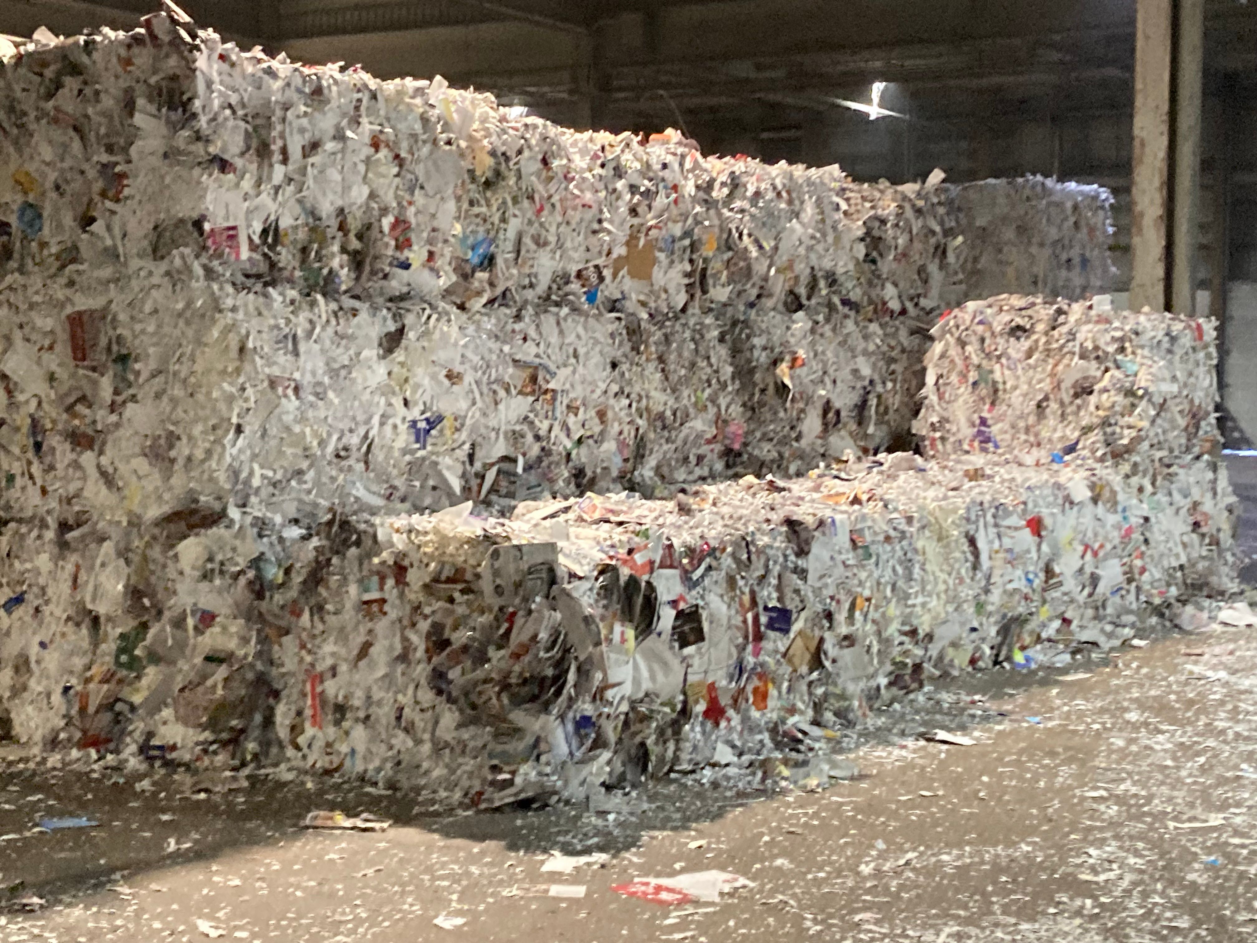 Real Shredded Paper Recycling Facility - Complete Recycling Process